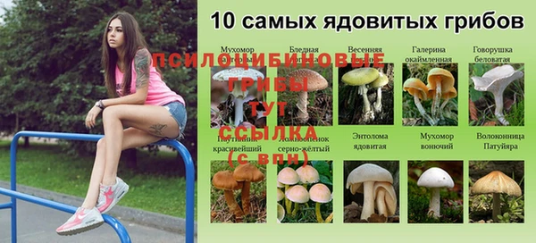 молекула духа Абинск