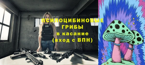 молекула духа Абинск