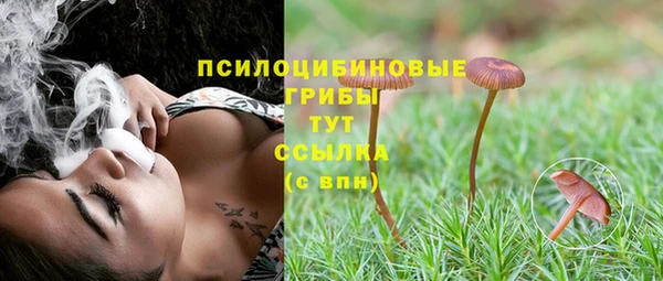 молекула духа Абинск