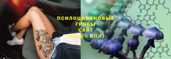 apvp Абаза