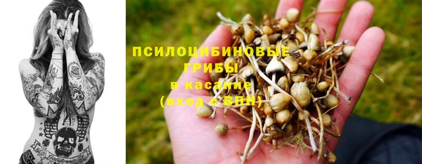 apvp Абаза