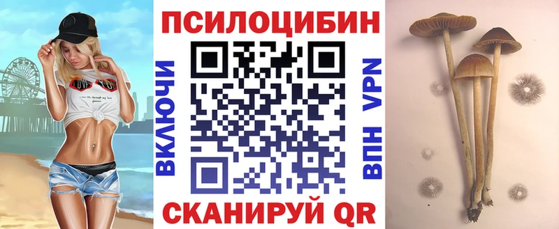 Галлюциногенные грибы прущие грибы  Агрыз 